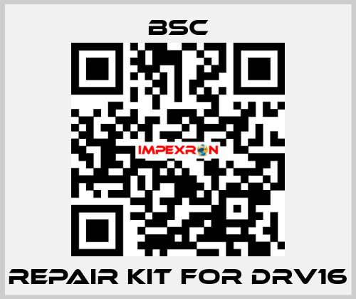 repair kit for DRV16 BSC