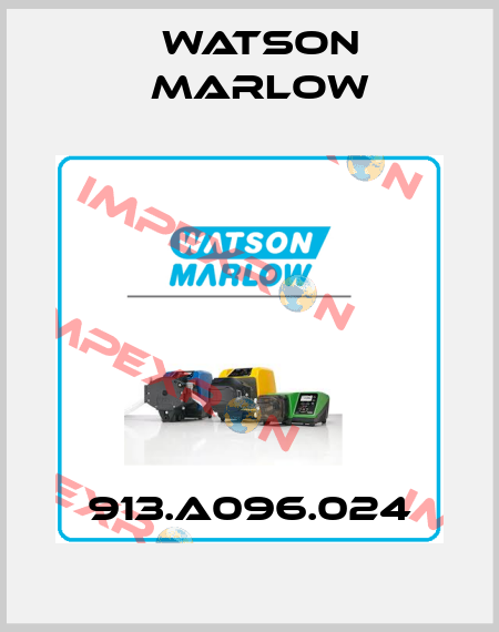 913.A096.024 Watson Marlow
