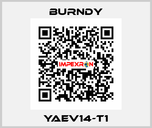 YAEV14-T1 Burndy