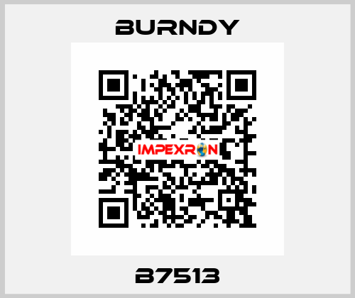 B7513 Burndy