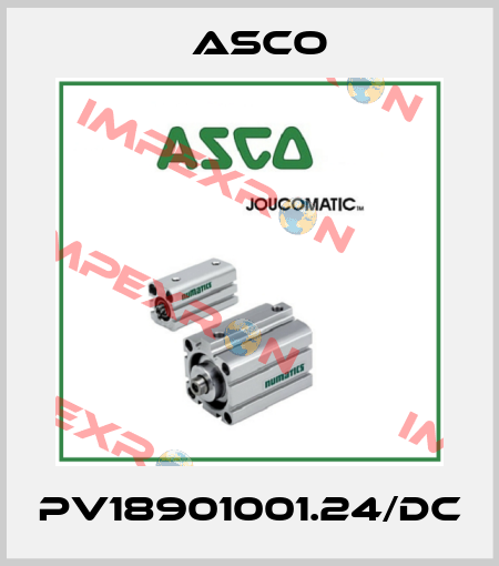 PV18901001.24/DC Asco