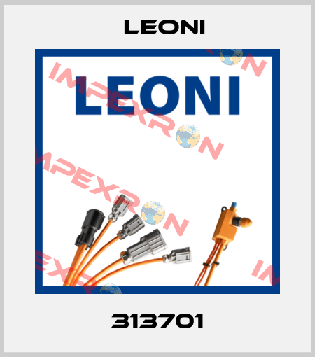313701 Leoni
