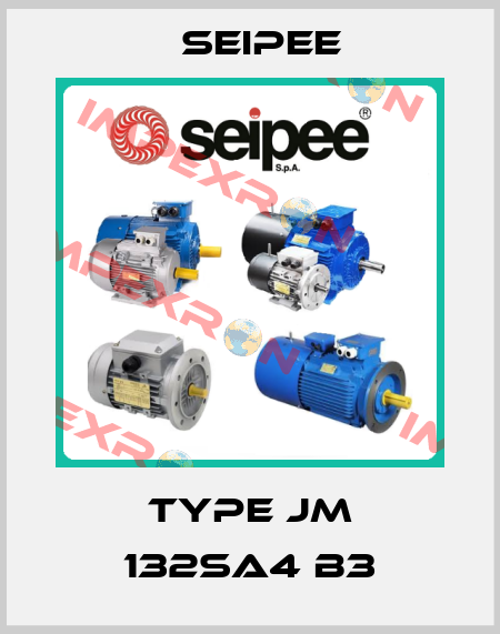 Type JM 132SA4 B3 SEIPEE