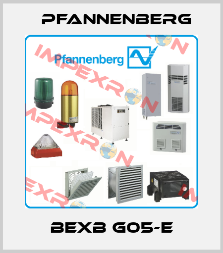 BExB G05-E Pfannenberg
