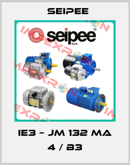 IE3 – JM 132 MA 4 / B3 SEIPEE