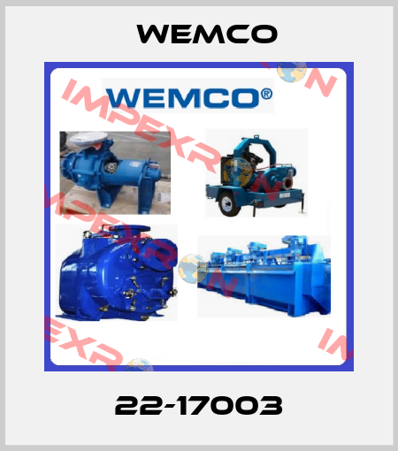 22-17003 Wemco