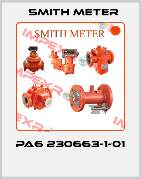 PA6 230663-1-01  Smith Meter
