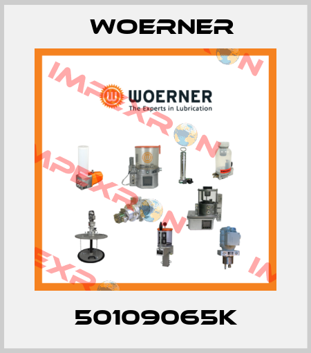 50109065K Woerner