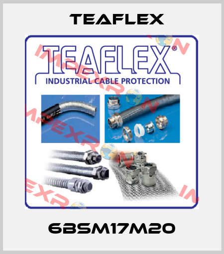 6BSM17M20 Teaflex