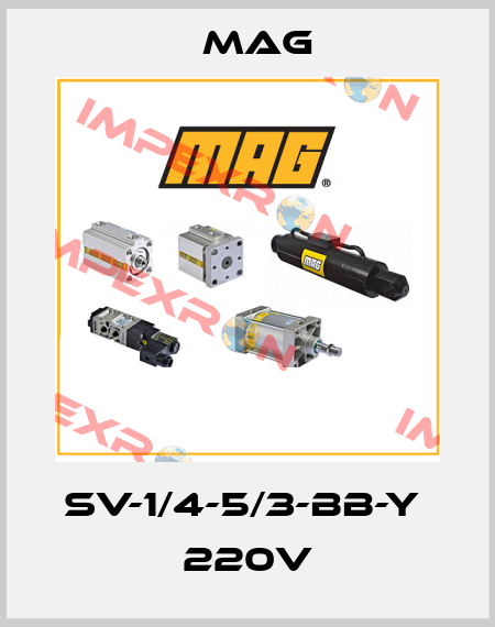 SV-1/4-5/3-BB-Y  220V Mag