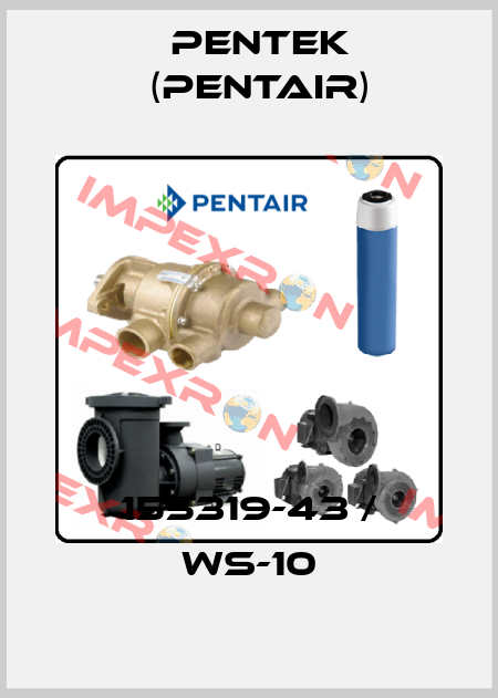 155319-43 / WS-10 Pentek (Pentair)