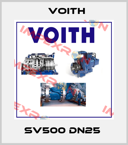 SV500 DN25  Voith