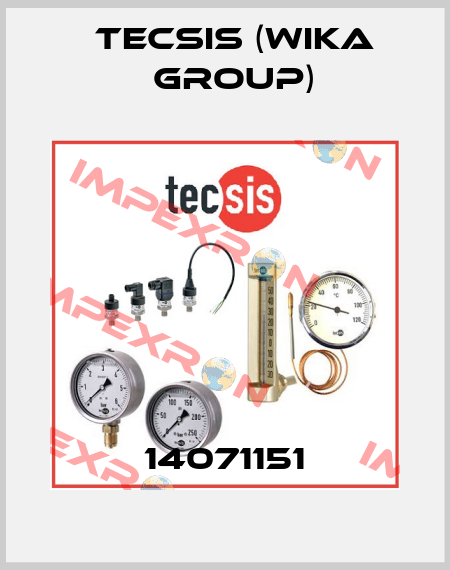 14071151 Tecsis (WIKA Group)