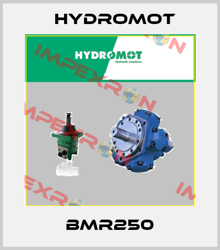BMR250 Hydromot