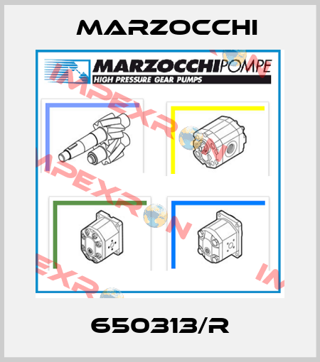 650313/R Marzocchi