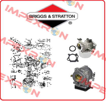 807900S Briggs-Stratton