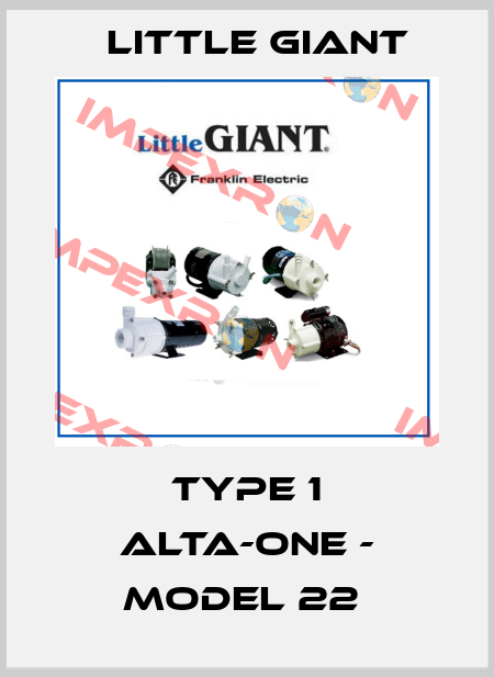 TYPE 1 ALTA-ONE - MODEL 22  Little Giant