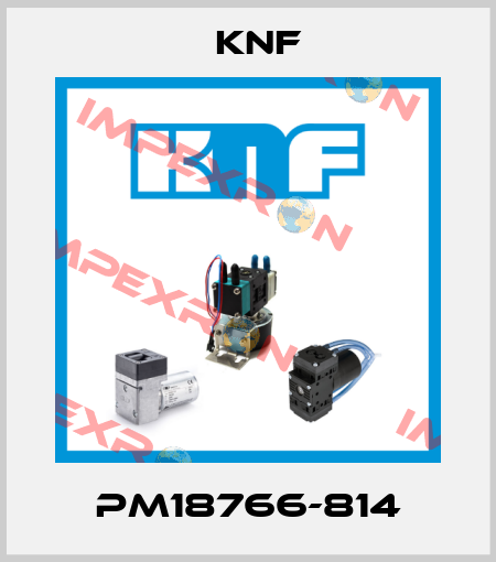 PM18766-814 KNF