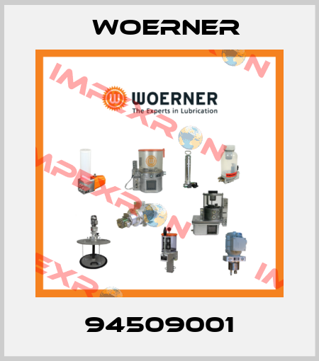 94509001 Woerner