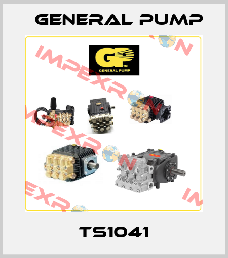 TS1041 General Pump
