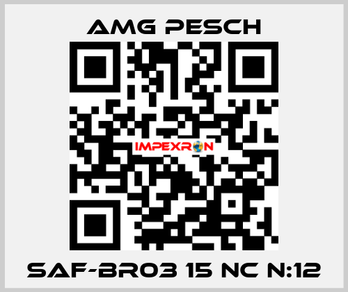 SAF-BR03 15 NC n:12 AMG Pesch