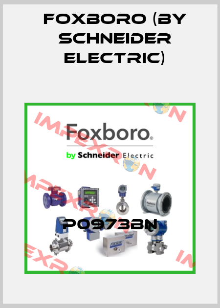 P0973BN Foxboro (by Schneider Electric)