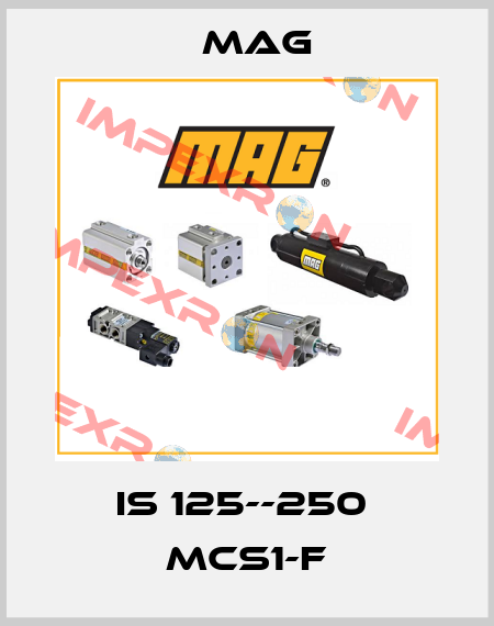 IS 125--250  MCS1-F Mag