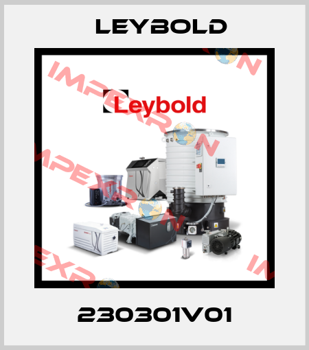 230301V01 Leybold