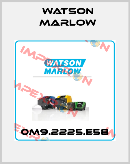 0M9.2225.E58 Watson Marlow