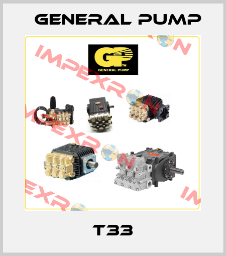 T33 General Pump
