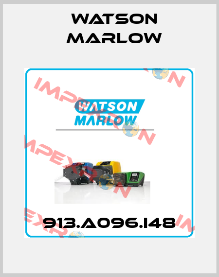 913.A096.I48 Watson Marlow