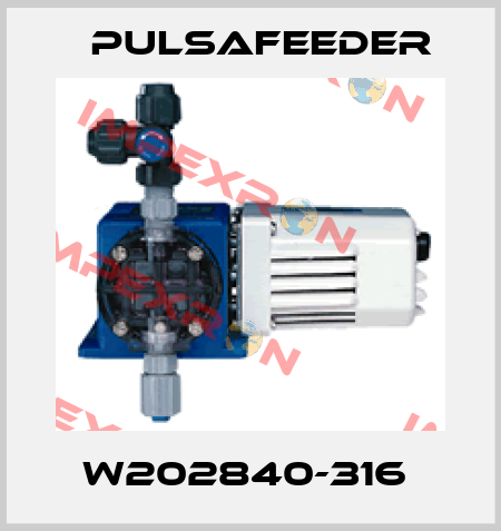W202840-316  Pulsafeeder