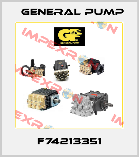 F74213351 General Pump