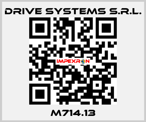 M714.13 DRIVE SYSTEMS s.r.l.