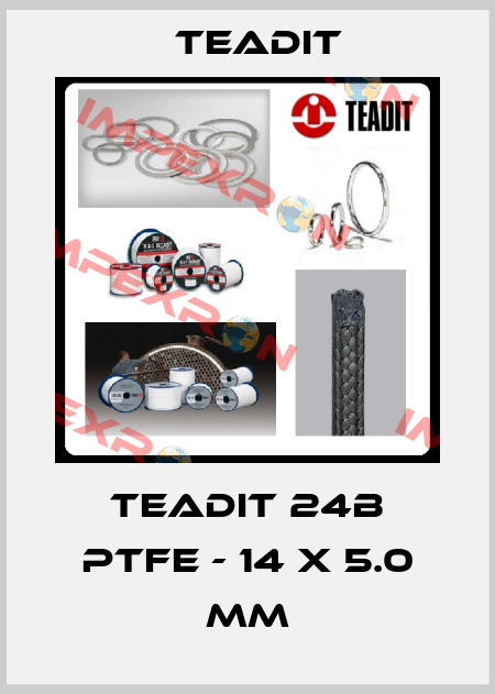 Teadit 24B PTFE - 14 x 5.0 mm Teadit