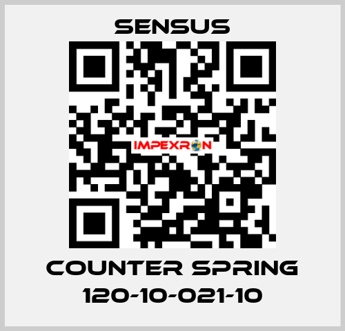 Counter spring 120-10-021-10 Sensus