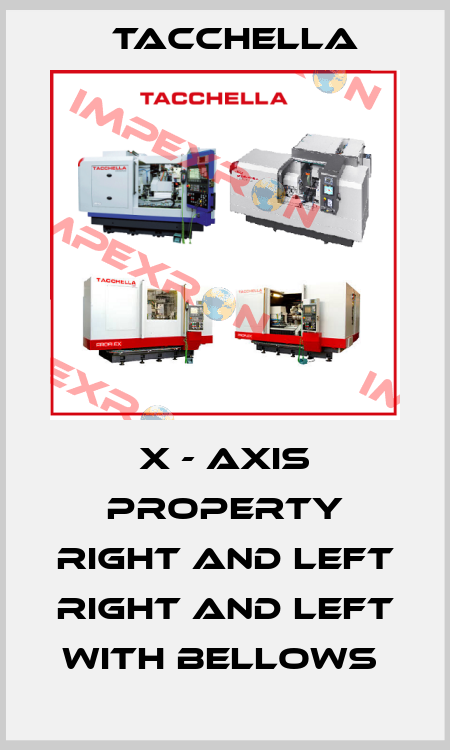 X - AXIS PROPERTY RIGHT AND LEFT RIGHT AND LEFT WITH BELLOWS  Tacchella