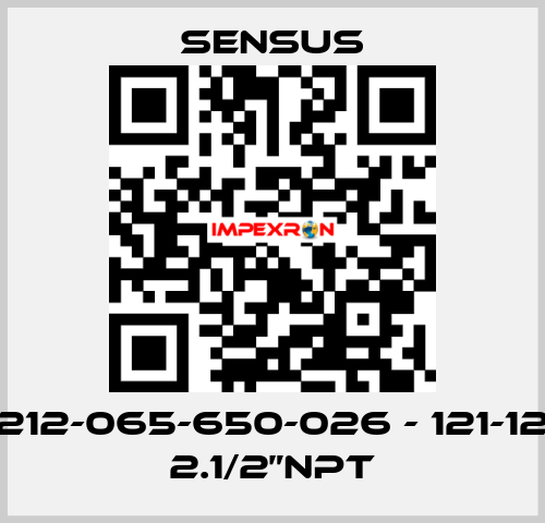 212-065-650-026 - 121-12 2.1/2”NPT Sensus