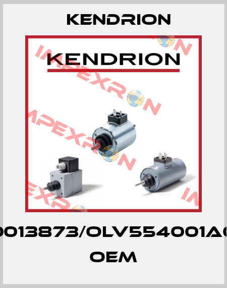 50013873/OLV554001A00 OEM Kendrion