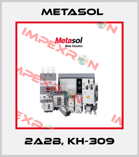 2A2B, KH-309 Metasol