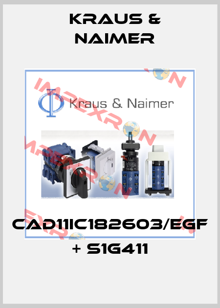 CAD11IC182603/EGF + S1G411 Kraus & Naimer