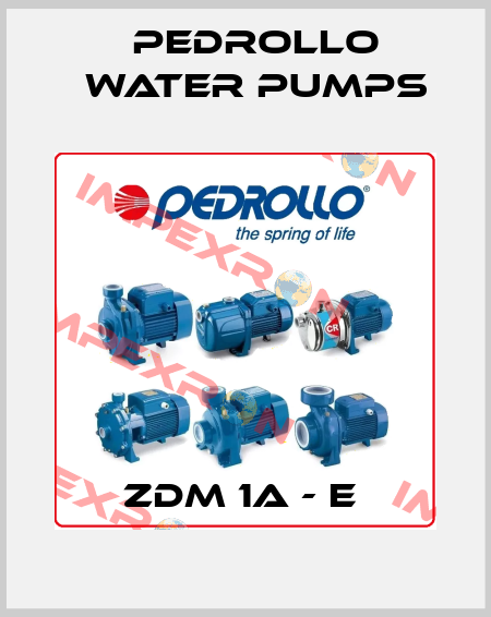 ZDM 1A - E  Pedrollo Water Pumps