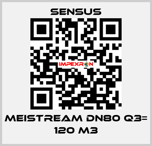 Meistream DN80 Q3= 120 m3 Sensus