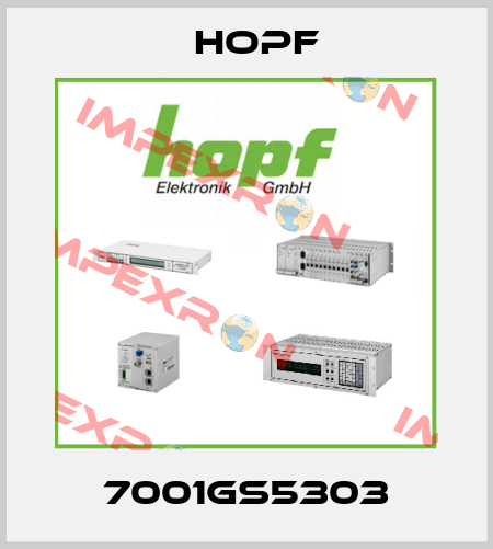 7001GS5303 Hopf