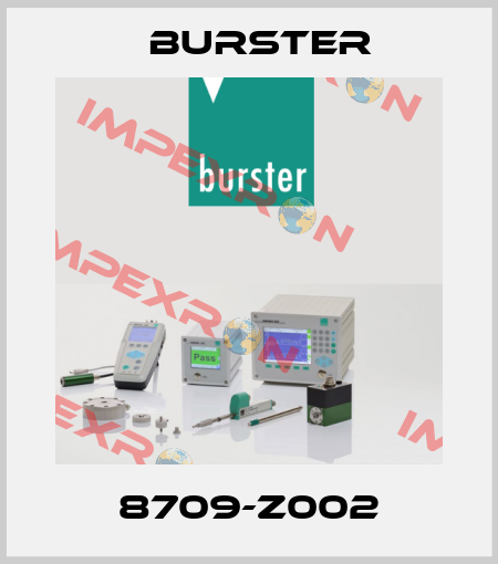 8709-Z002 Burster