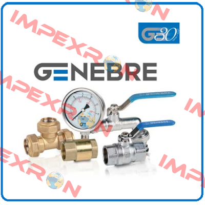 4333 A00 A24V Genebre