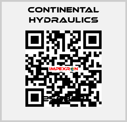 256803 Continental Hydraulics