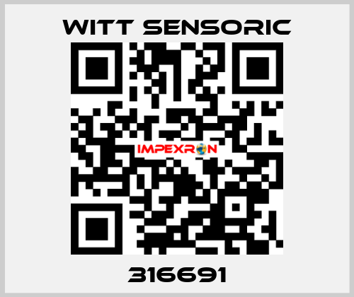 316691 Witt Sensoric