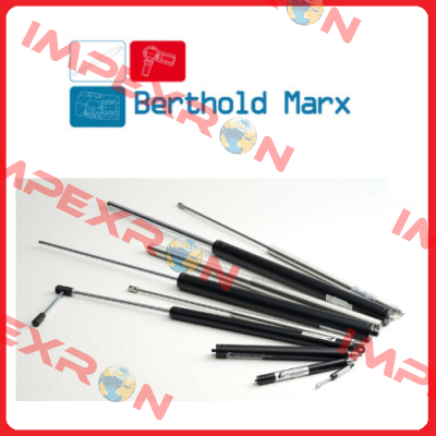 ST3000600D10 Berthold Marx