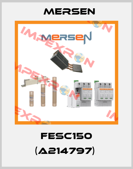 FESC150 (A214797)  Mersen
